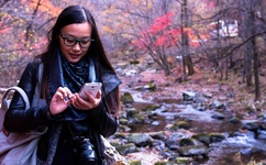 妹妹你大胆地往前走电视剧